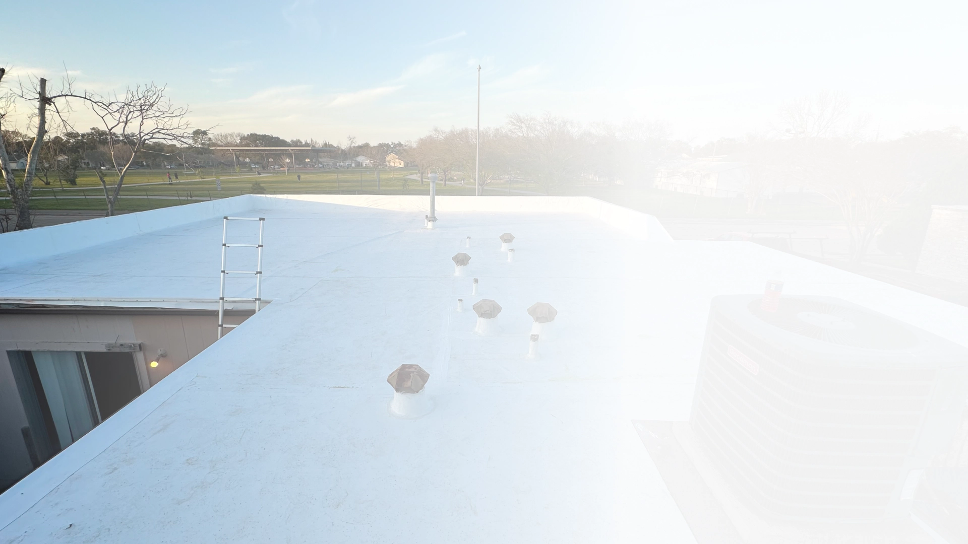 What We Do Background